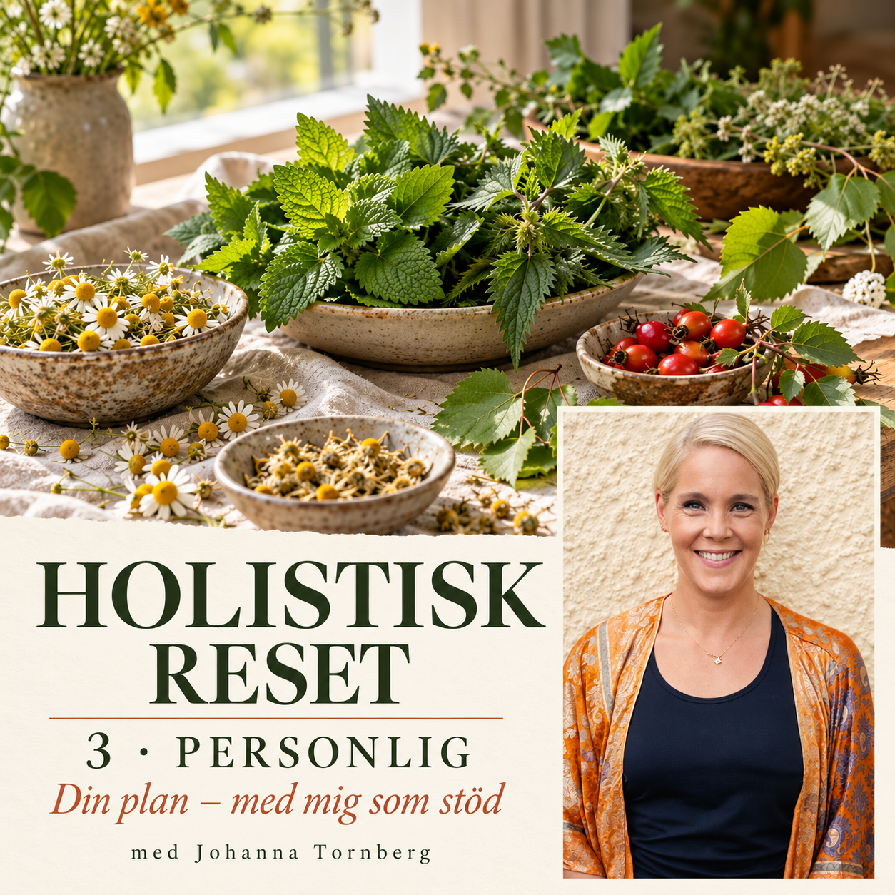 Programomslag: Holistisk RESET 3 · Personlig – din plan, med mig som stöd